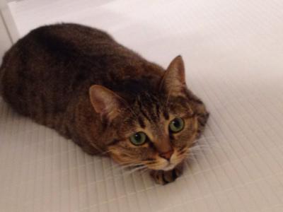 20120831213932.jpg