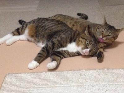 20120915013234.jpg