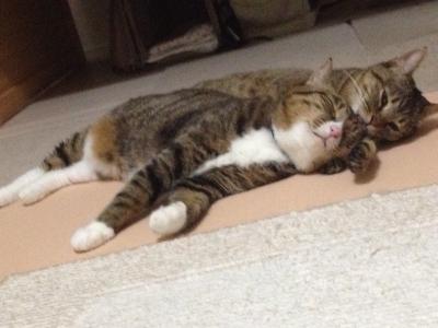 20120915013247.jpg