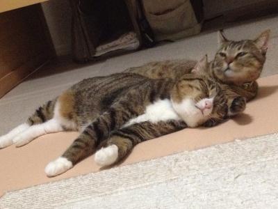 20120915013257.jpg