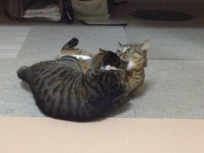 20120915013311.jpg