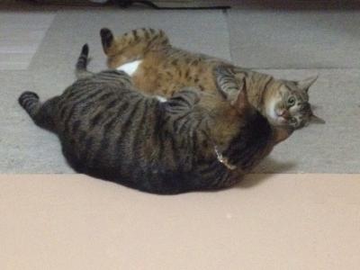 20120915013313.jpg