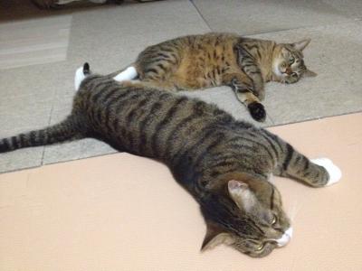 20120915013422.jpg