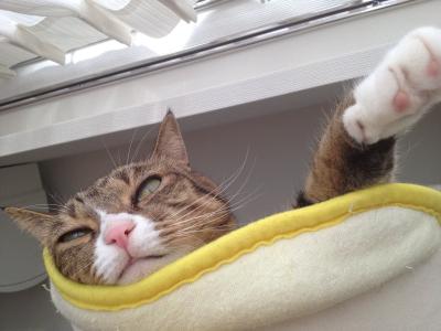20120916103731.jpg