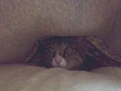 20120923220713.jpg
