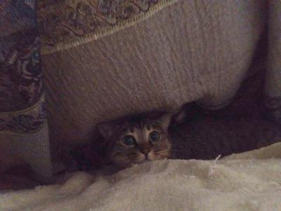 20120923220745.jpg