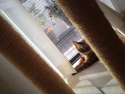 20120930092719.jpg