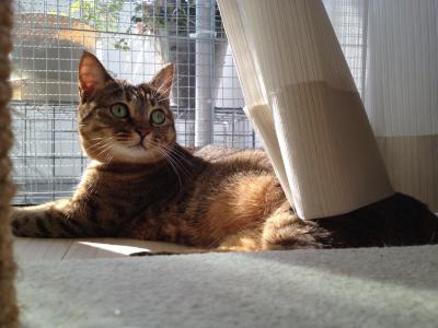 20120930092745.jpg