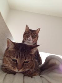 20121008135736.jpg