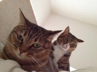 20121008135957.jpg