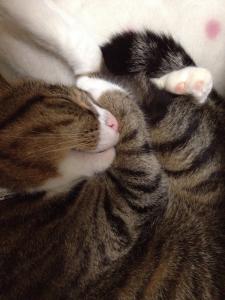 20121008221407.jpg
