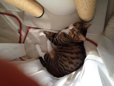 20121012075420.jpg