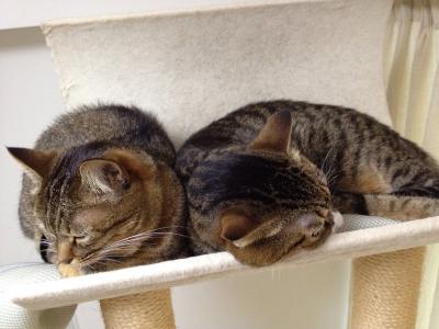 20121014161557.jpg