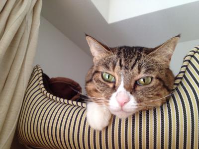 20121015075142.jpg