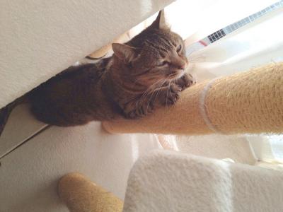 20121015075228.jpg