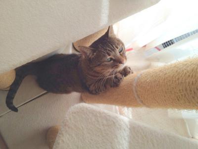 20121015075231.jpg