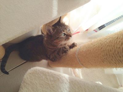 20121015075233.jpg