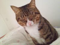 20121020064137.jpg