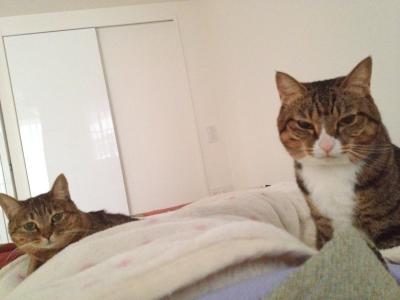 20121020064148.jpg