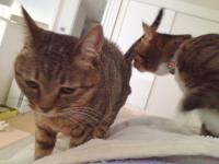 20121020064257.jpg