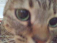 20121020064306.jpg