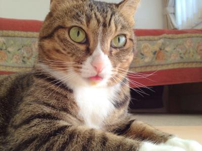 20121021083258.jpg