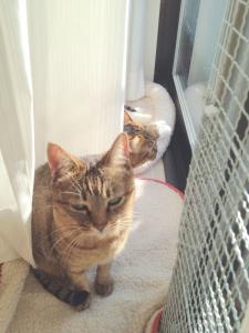 20121021084327.jpg
