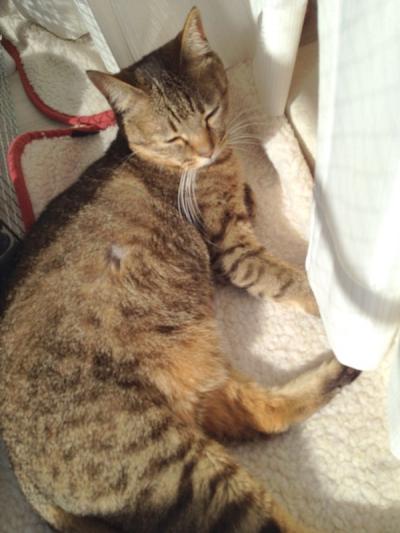 20121021091107.jpg