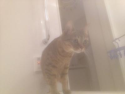 20121021181212.jpg