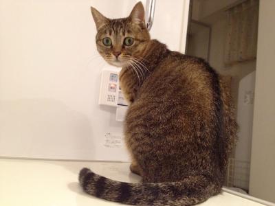 20121021181324.jpg