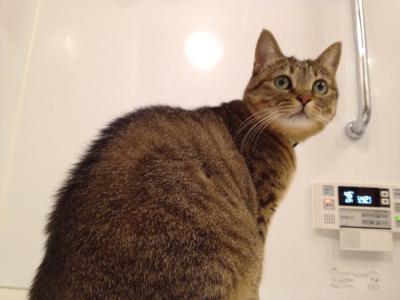 20121021181458.jpg