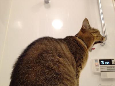 20121021181639.jpg
