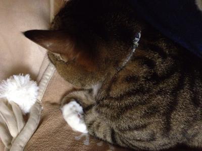 20121101235212.jpg