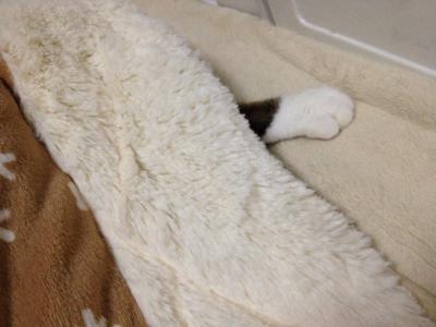 20121103013348.jpg