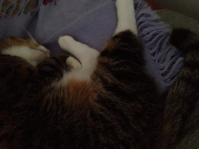 20121103074537.jpg