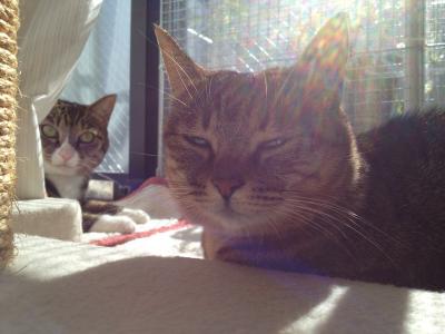 20121110110437.jpg