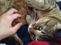 20121111112201.jpg