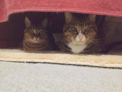 20121114200401.jpg