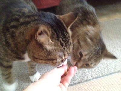 20121201134207.jpg