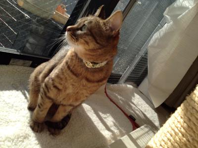 20121209121141.jpg