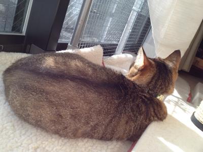 20121209122532.jpg