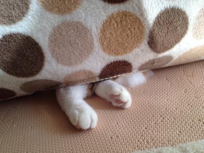 20121209122819.jpg