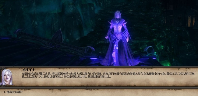 Might and Magic X Legacy_2014_02waf_777