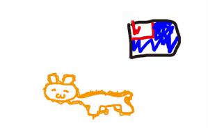アメリカンショートヘア