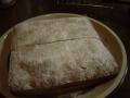 DSC02131-1.jpg