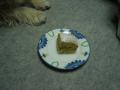 DSC02135-4.jpg