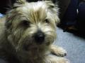 DSC02138-5.jpg