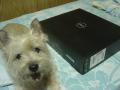 DSC02167.jpg