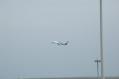 DSC_0030-8.jpg