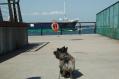 DSC_0032-1_20120506004503.jpg